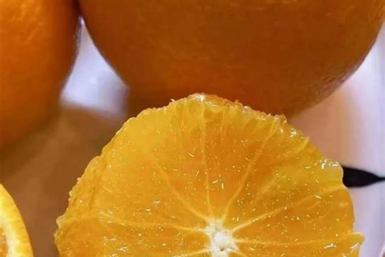 绿植怎么施肥合适