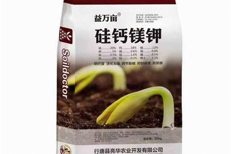 水稻叶面肥哪种好 如何正确喷施