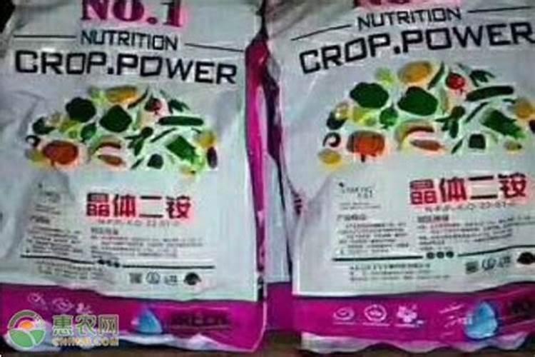 绿植施肥用什么肥料最好 给绿植施4种肥长得好