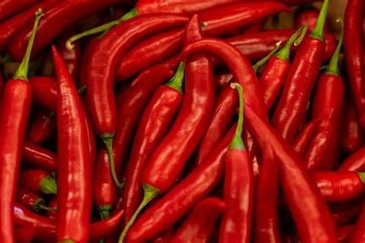 施肥水稻苗期怎么施肥