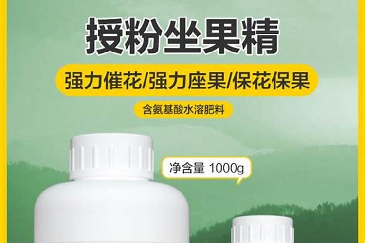 如何给茶花浇水？