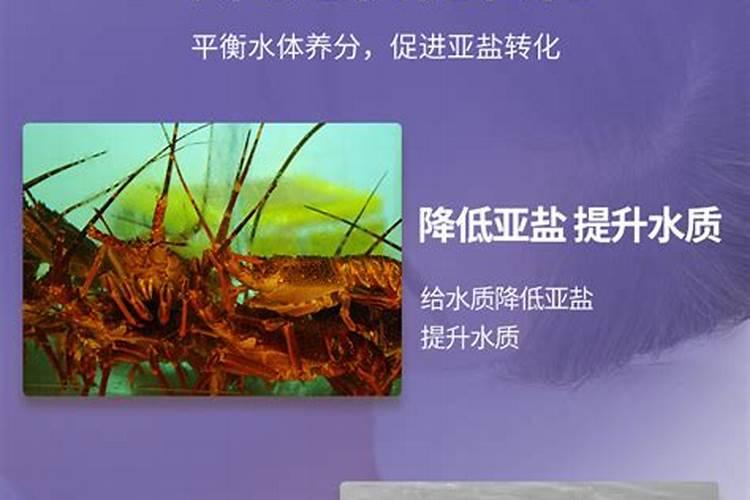 腐植酸钠和腐植酸什么关系