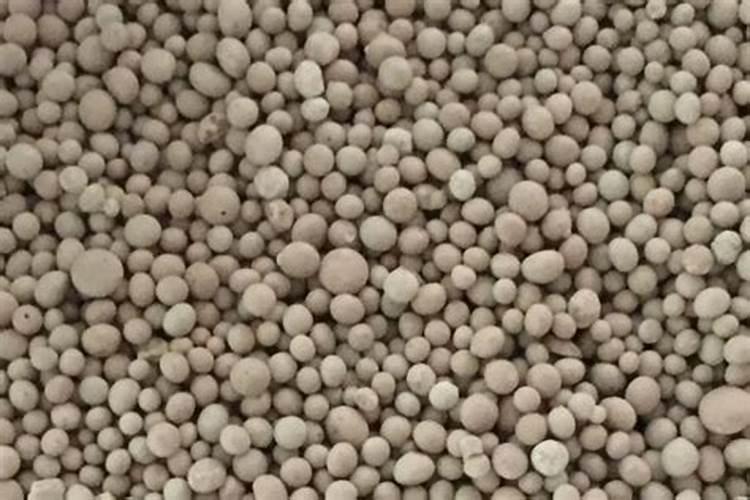 芹菜需要哪种肥料,该怎么施肥才能长好？