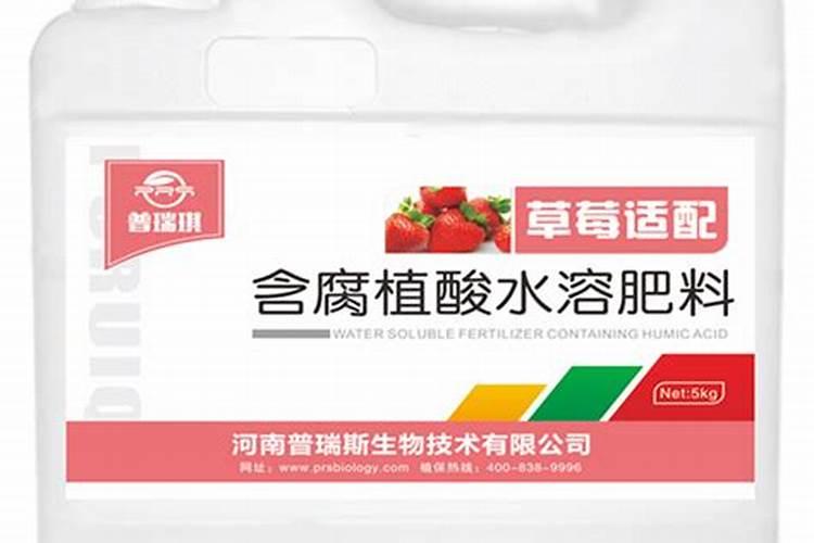 高温天气草莓苗冲什么肥料好呢