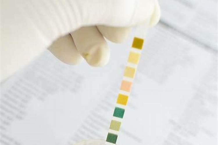 含锌量高的蔬菜有哪些 蔬菜含锌量排行榜一览