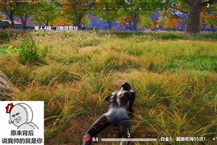 樱花园地址在哪里？