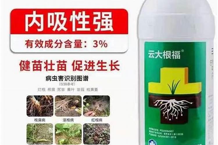 丝瓜可以用氯化钾施肥吗？