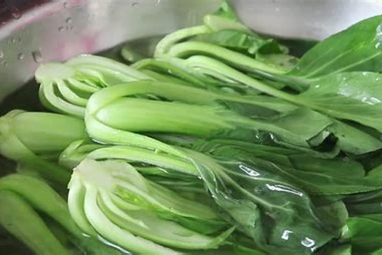 青菜种下去以后,具体怎么施肥呢？