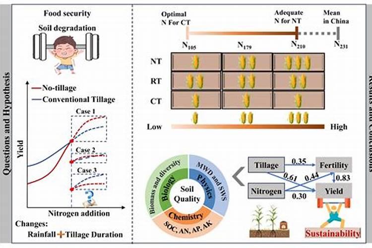 4种“废水”浇花,胜过“营养液”,只浇一点,开花呼呼爆