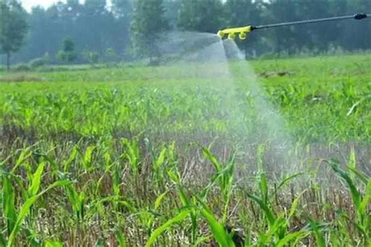 硝酸盐是怎么产生的？