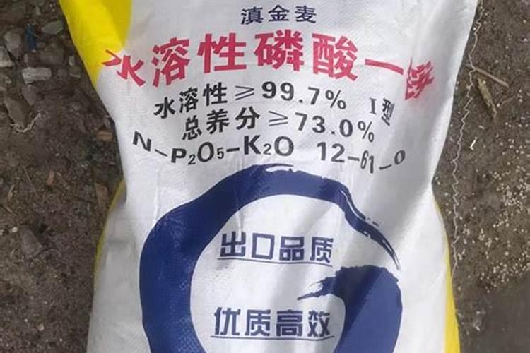 一盆吊兰放几粒复合肥