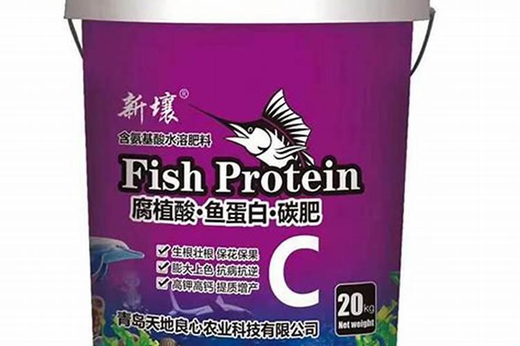 果汁飞溅月季的优缺点是什么？
