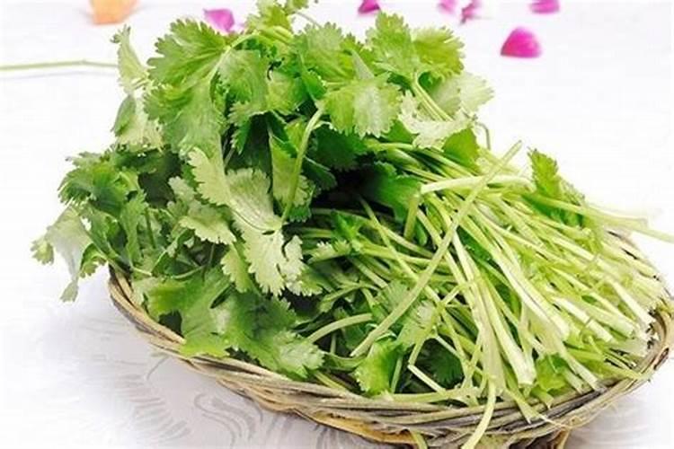 香菜浇什么肥料合适