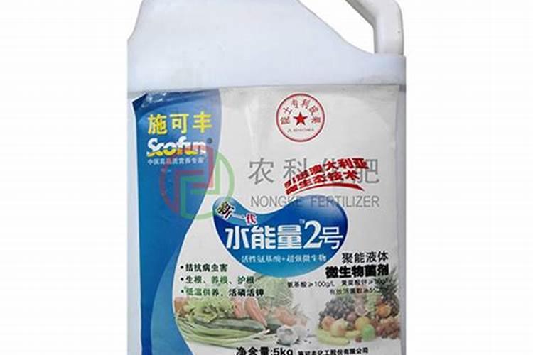 月季花的嫩叶为什么蔫了