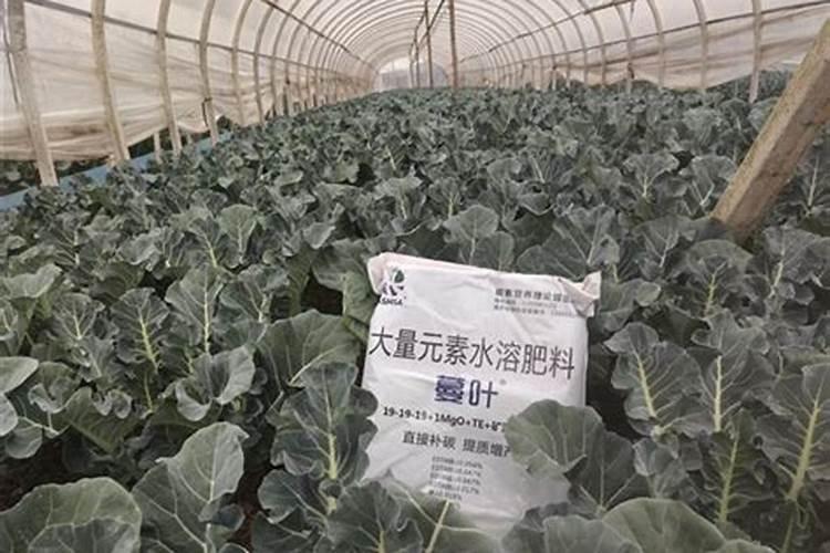 大量元素水溶肥生产资料