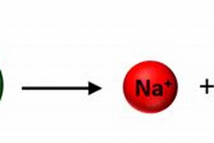 油茶花很多不错果用促芽膨果肥有效吗