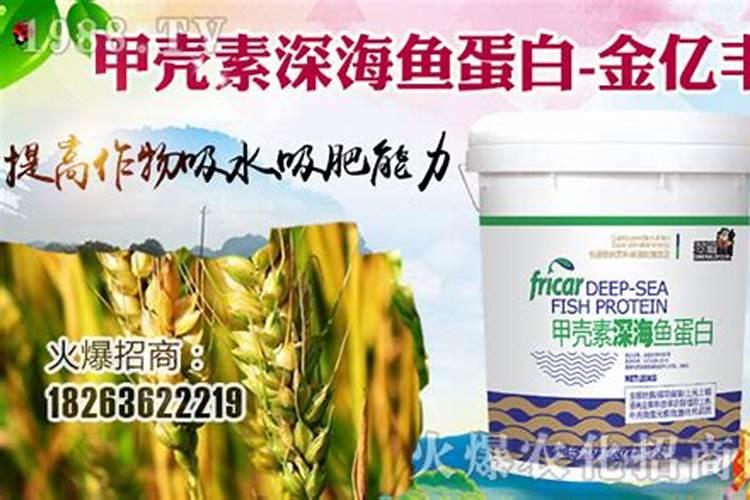 棉花施什么肥最好