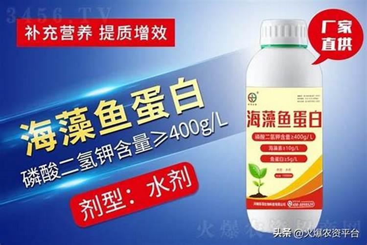 鱼蛋白自制配方比例