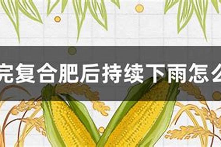 幸福树用什么肥料最好 幸福树怎么施肥