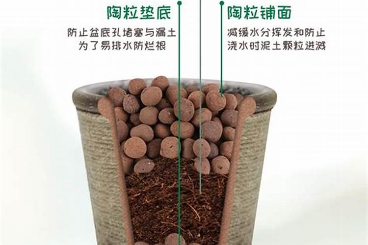 大量元素水溶肥能和高效氟吡甲禾灵混用吗