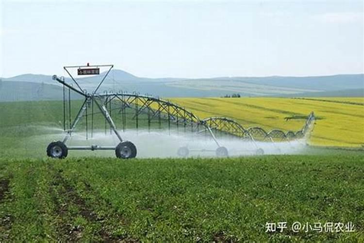 农药芸苔素可以和敌敌畏混用吗？