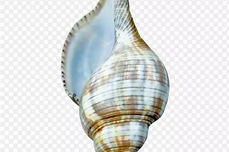 黄瓜中期冲施高钾的好,还是平衡