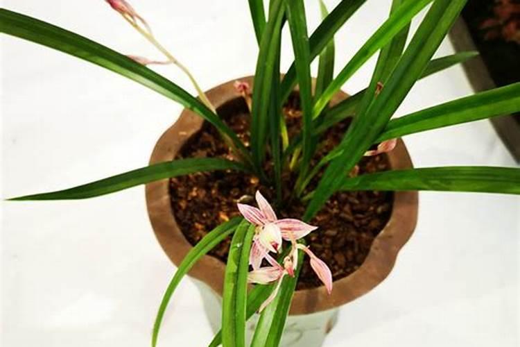 水中氨氮含量偏高说明什么问题