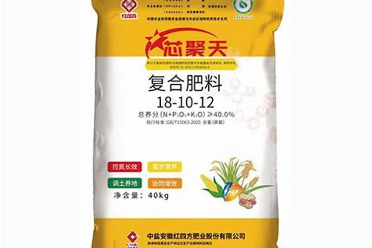 令箭荷花怎么栽培养护