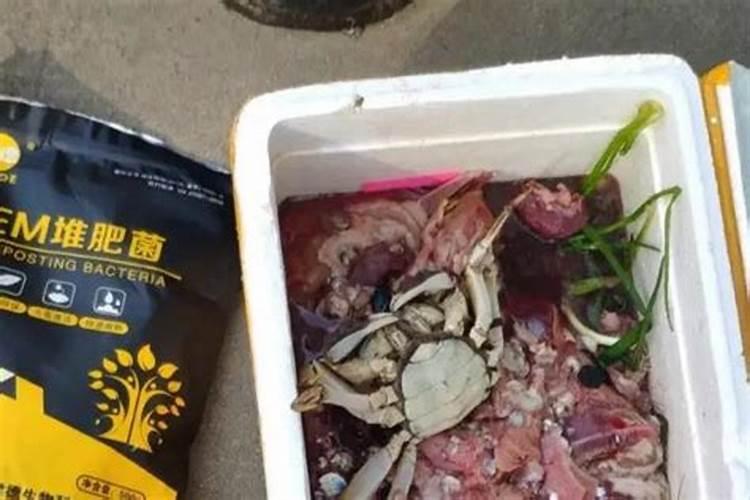 鱼内脏怎么做肥料