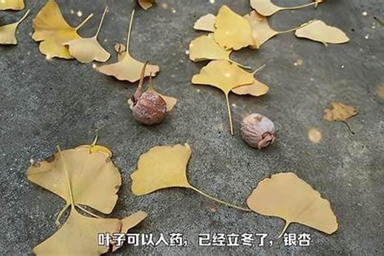 水溶肥执行标准GB和NY的区别