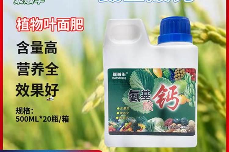 果树缺钙用什么肥料最适合(果树需补什么钙肥最好)