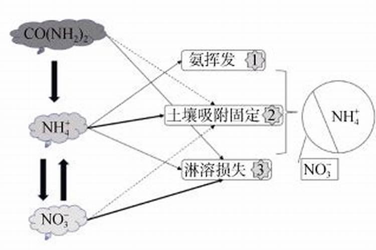 酸性土壤调理剂