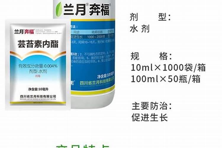 百香果不结果如何处理 百香果不结果解决方法