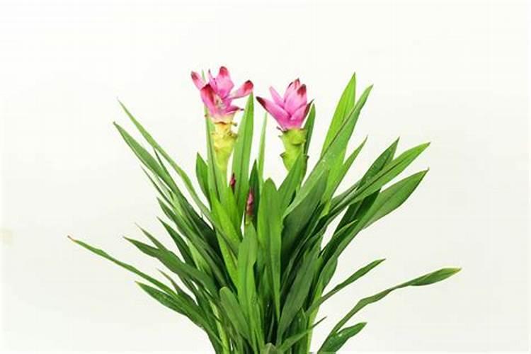 种菜施肥用什么水溶肥料好？