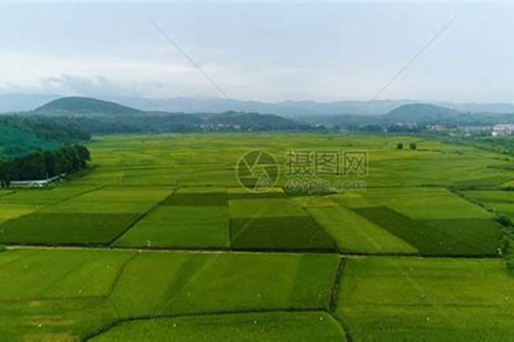 种植水稻用木醋液哪个厂家好