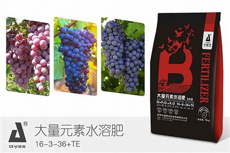 叶面肥排名榜前十名