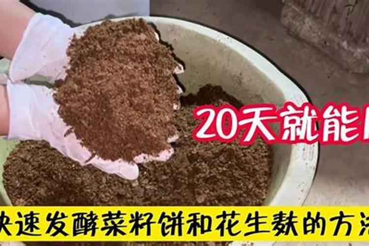 兰花用什么叶面肥最好