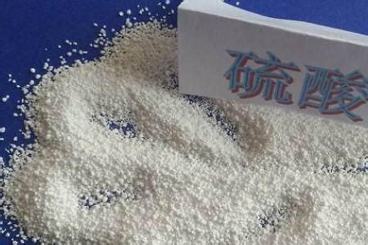 豆角种植时,为何第一茬花序开花时尽量不浇水？