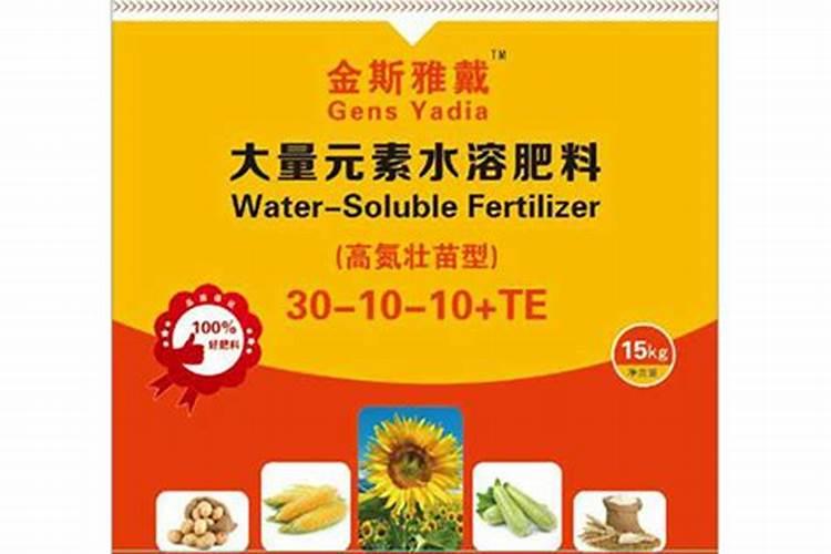 北美冬青用什么肥