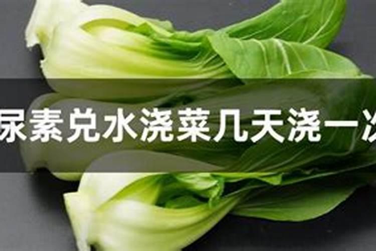 蔬菜施什么肥长得快又好蔬菜施什么肥长得快
