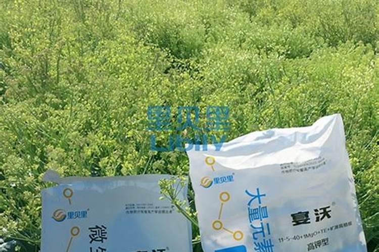 果树开春期间施什么肥料是比较好的选择呢