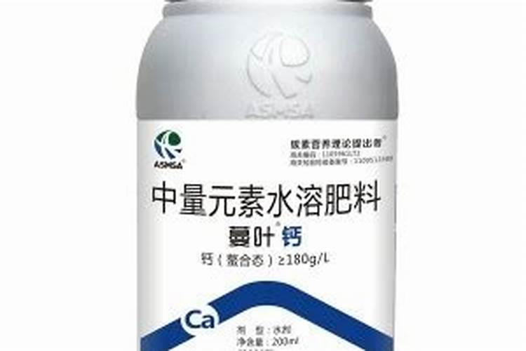 常春藤浇什么肥最好