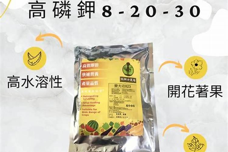 玉树夏天多久浇水一次