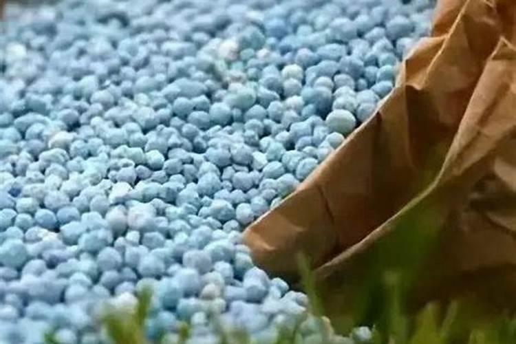 太阳花喜欢什么肥料