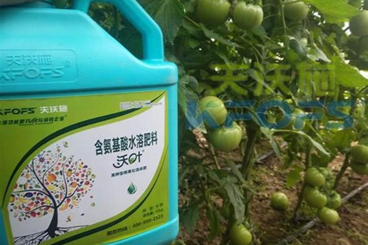 大蒜返青期,能用平衡肥追肥吗？农户有哪些高产经验可借鉴？