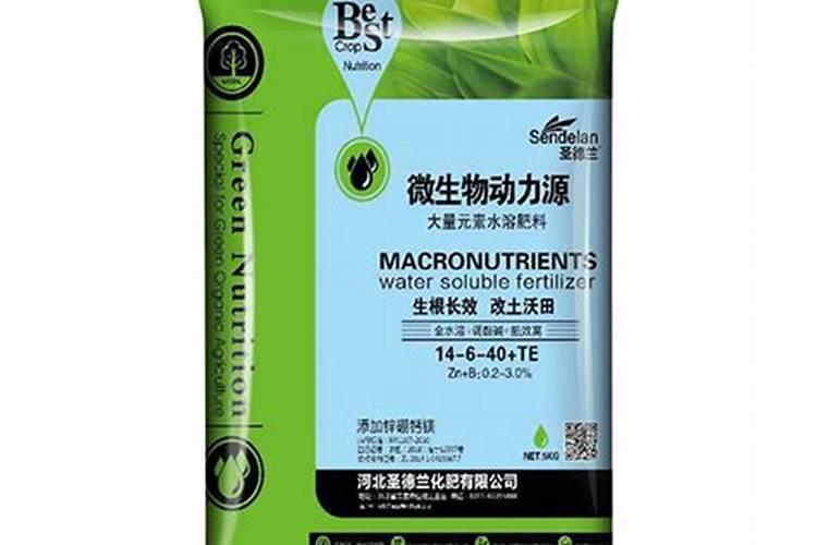太阳花施肥方法,用什么肥好