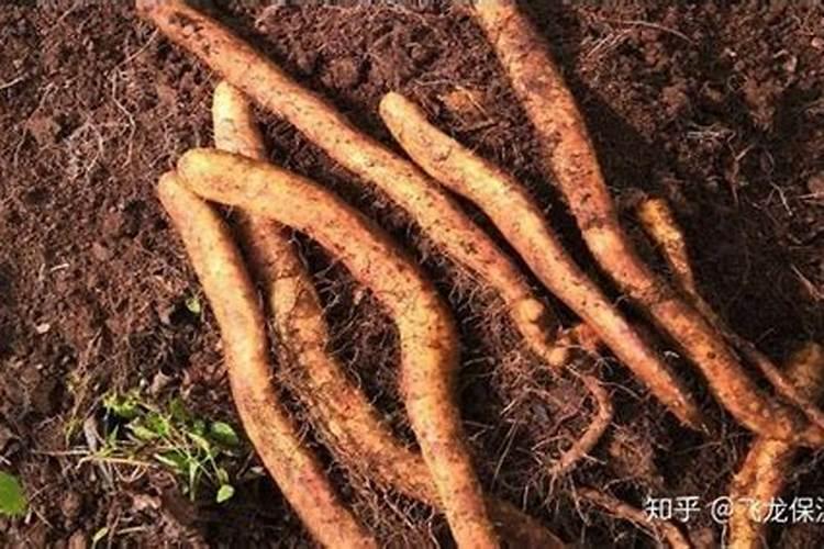 尿素化肥是酸性还是碱性的 尿素肥料对人体有害吗