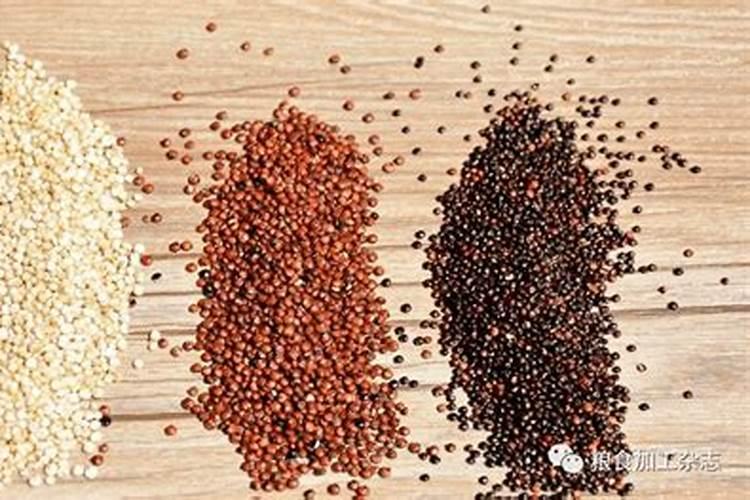 种植玉米土壤调理剂怎样使用效果好