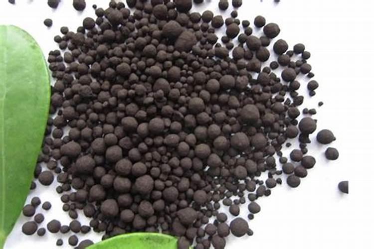 含腐植酸水溶肥料有什么功能和普通水溶肥有区别吗？