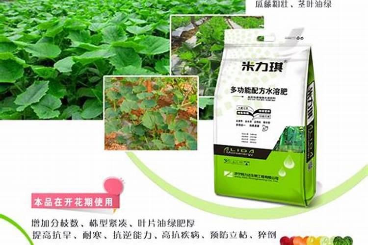 蔬菜用啥肥好